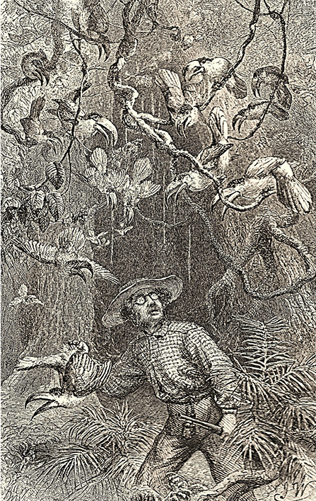 media/image1.jpg