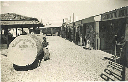 mediumimage/DRA202001_e008-image1.jpg