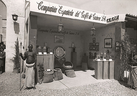 mediumimage/DRA202001_e008-image5.jpg