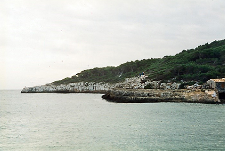 mediumimage/DRA202001_e012-image3.jpg