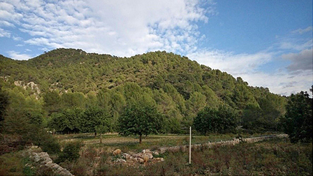 mediumimage/DRA202001_e012-image5.jpg