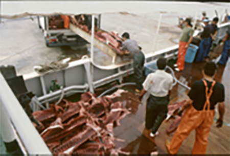 medium/medium-DRA-76-02-e025-gf3.png