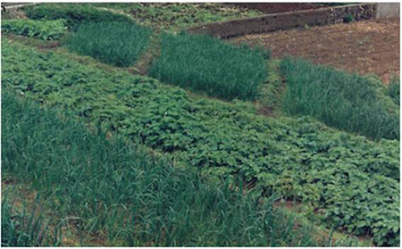 medium/medium-DRA-77-01-e006-gf6.png